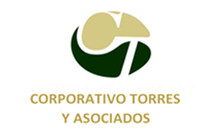 Corporativo Torres y Asociados - Success in Mexico S de RL